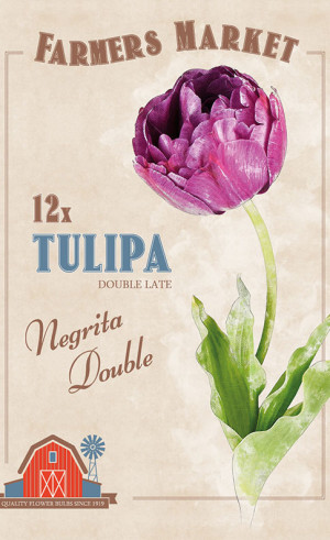 Тюльпаны double late Negrita Double (серия Farmers Market) (12 шт. в упак.) (R. De Ree)
