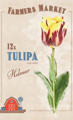 Тюльпаны triumph Helmar (серия Farmers Market) (12 шт. в упак.) (R. De Ree)