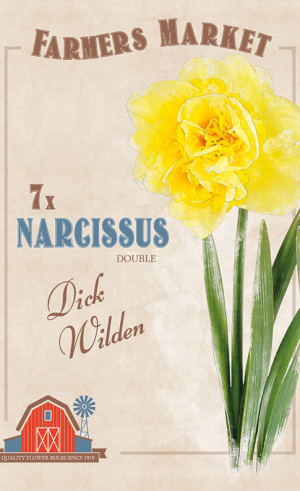 Нарциссы double Dick Wilden (серия Farmers Market) (7 шт. в упак.) (R. De Ree)