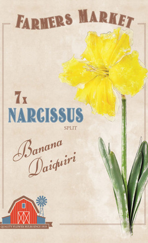 Нарциссы split corona Banana Daiquiri (серия Farmers Market) (7 шт. в упак.) (R. De Ree)