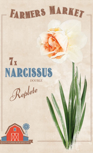 Нарциссы double Replete (серия Farmers Market) (7 шт. в упак.) (R. De Ree)