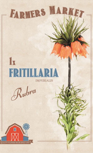 Фритиллярия Imperalis Rubra (серия Farmers Market) (1 шт. в упак.) (R. De Ree)