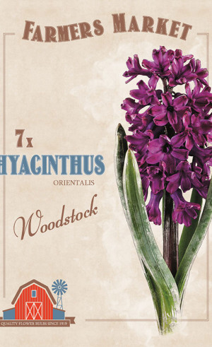 Гиацинты orientalis Woodstock (серия Farmers Market) (7 шт. в упак.) (R. De Ree)