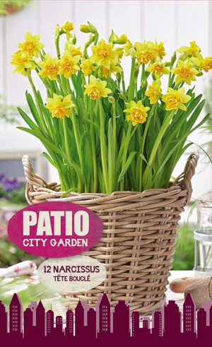 Нарциссы Tete Boucle (серия Patio City Garden) (12 шт. в упак.) (R. De Ree)