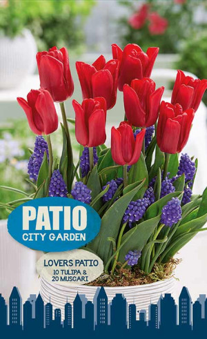 Набор луковиц Lovers Patio (серия Patio City Garden) (30 шт. в упак.) (R. De Ree)