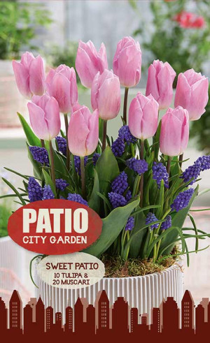 Набор луковиц Sweet Patio (серия Patio City Garden) (30 шт. в упак.) (R. De Ree)