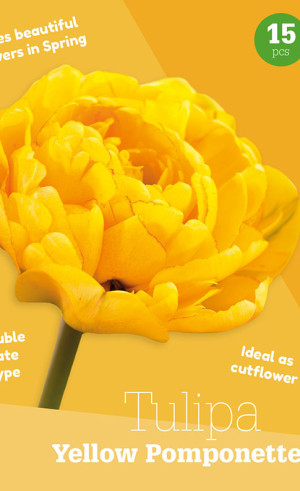 Тюльпаны Yellow Pomponette (серия Colour Collection) (15 шт. в упак.) (R. De Ree)