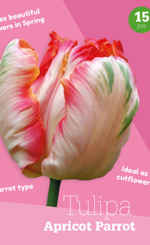Тюльпаны Apricot Parrot (серия Colour Collection) (15 шт. в упак.) (R. De Ree)