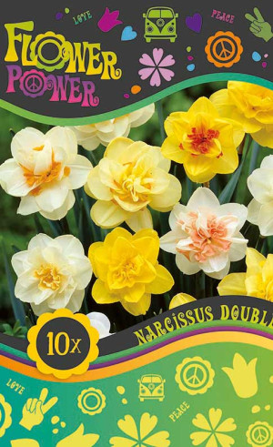Нарциссы Double mix (серия Flower Power) (10 шт. в упак.) (R. De Ree)