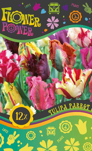 Тюльпаны Parrot mix (серия Flower Power) (12 шт. в упак.) (R. De Ree)