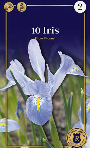 Ирис Blue Planet (R. De Ree)