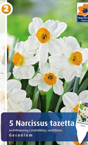 Нарциссы Geranium (R. De Ree)