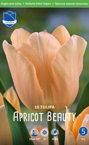Тюльпаны Apricot Beauty (Lefeber)