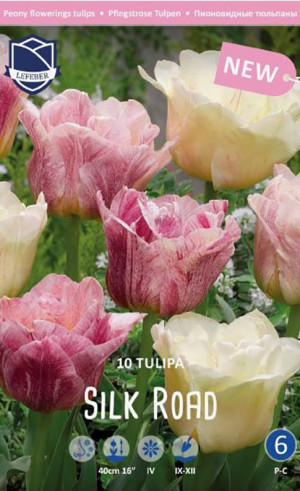 Тюльпаны Silk Road (Lefeber)