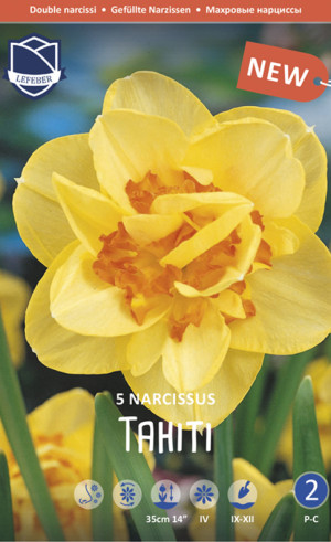 Нарциссы Tahiti (Lefeber)