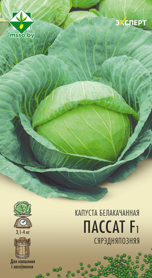Капуста б/к Пассат F1 12шт (Эксперт)