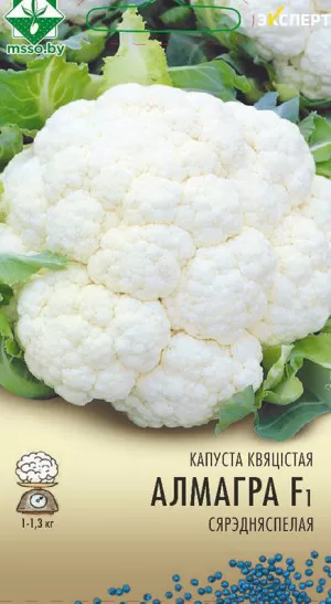ОАО«МинскСортСемОвощ»