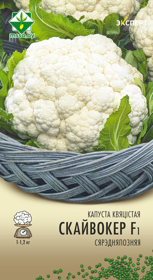 Капуста цветная Скайвокер F1 12шт (Эксперт)