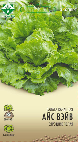 Салат Айс Вейв кочанный 20шт (Эксперт)