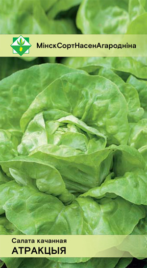 Салат Атракция кочанный 0.5г