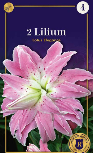 Лилия Lotus Elegance (R. De Ree)