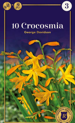 Крокосмия George Davidson (R. De Ree)