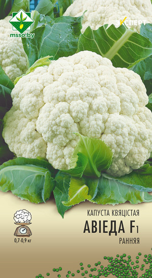 Капуста цветная Овиедо F1 12шт (Эксперт)