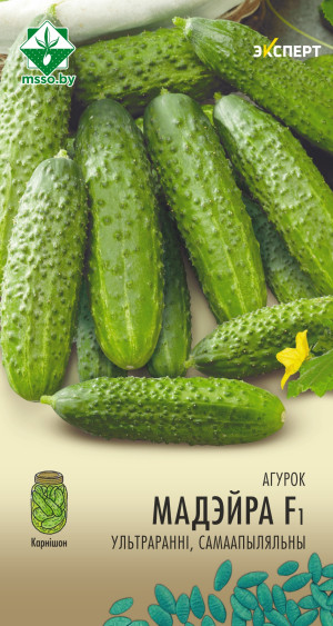 Огурец Мадейра F1 5шт (Эксперт)