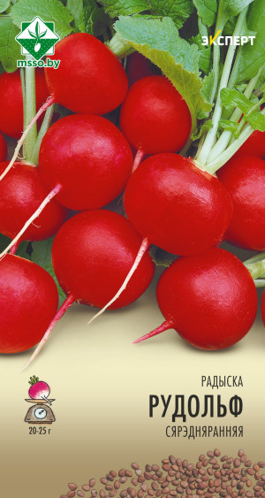 Редис Рудольф 1г (Эксперт)