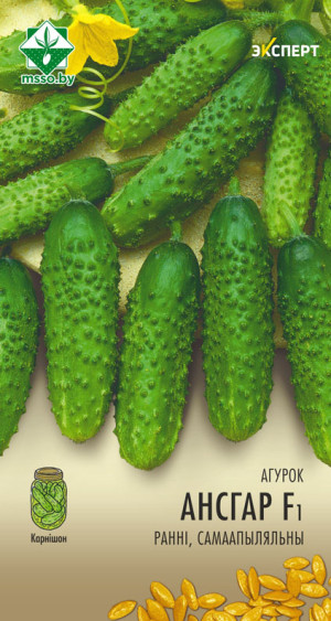 Огурец Ансгар F1 7шт (Эксперт)