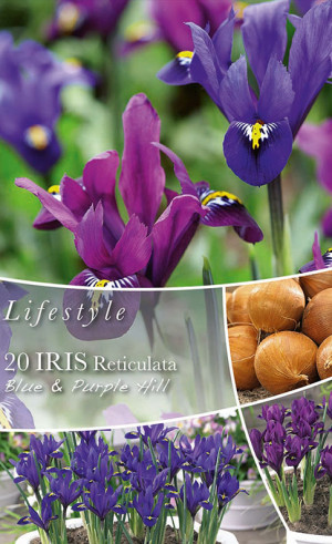 Ирис Reticulata Blue Hill & Purple Hill (серия Lifestyle Collection) (20 шт. в упак.) (R. De Ree)