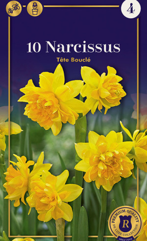 Нарциссы Tete Boucle (R. De Ree)