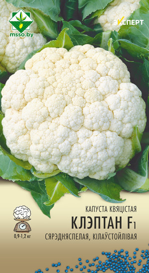 Капуста цветная Клэптон F1 6шт (Эксперт)
