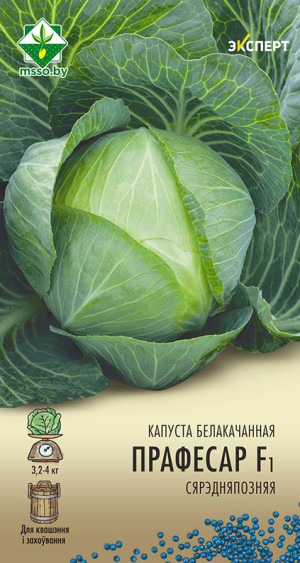 Капуста б/к Профессор F1 12шт (Эксперт)