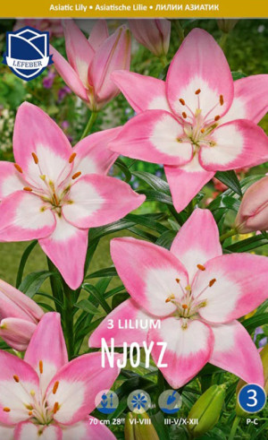 Лилия Njoyz (Lefeber)