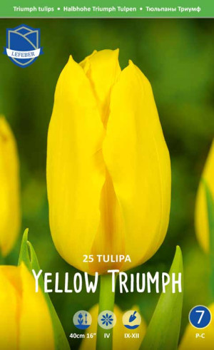 Тюльпаны Yellow Triumph (Economy packs) (Lefeber)