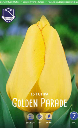 Тюльпаны Golden Parade (Economy packs) (Lefeber)