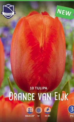 Тюльпаны Orange van Eyck (Lefeber)