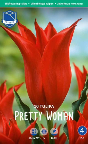 Тюльпаны Pretty Woman (Претти Вуман) (Lefeber)