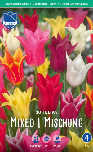Тюльпаны Lilyflowering Mixed (Lefeber)