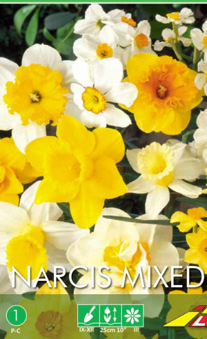 Нарциссы Mixed (Budget packs) (Lefeber)