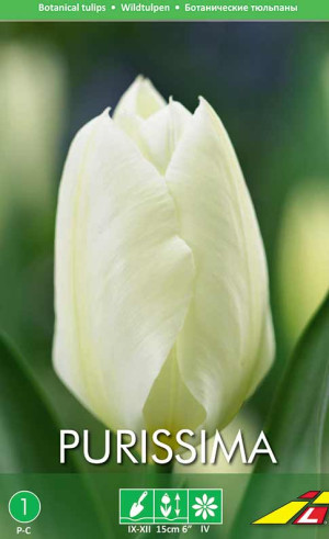 Тюльпаны Purissima (Budget packs) (Lefeber)
