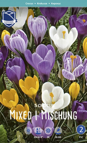 Крокусы Mixed (Budget packs) (Lefeber)