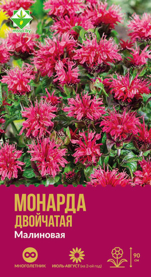 Монарда двойчатая Малиновая 0.03г