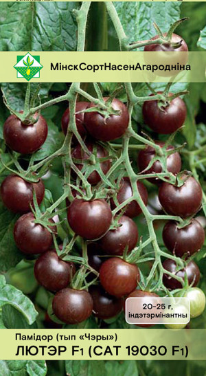 Томат Лютер F1 (САТ 19030) 7шт