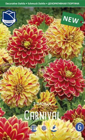 Георгина Carnival (Combi packs) (Lefeber)
