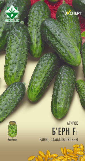 Огурец Бьерн F1 7шт (Эксперт)