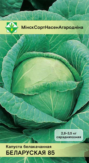 Капуста б/к Белорусская 85 0.5г
