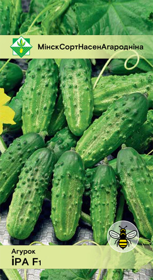 Огурец Ира F1 15шт