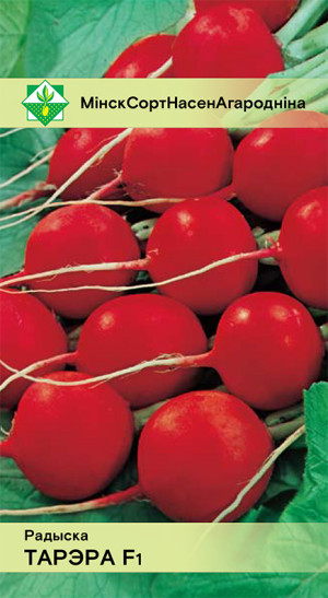 Редис Тореро F1 1г